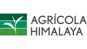 Empaques - Chispazo (4)